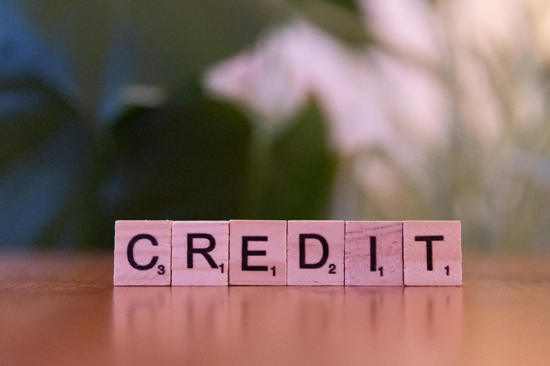 Credit Solutions LoanPulsePro